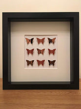 Load image into Gallery viewer, Copper Square Butterfly Frame
