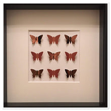 Load image into Gallery viewer, Copper Square Butterfly Frame