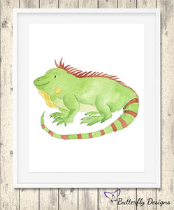 Iguana Watercolour Wildlife Animal A4 Print Picture