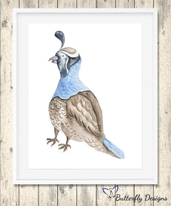 Quail Watercolour Wildlife Animal A4 Print Picture