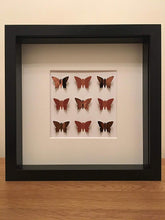 Load image into Gallery viewer, Copper Square Butterfly Frame
