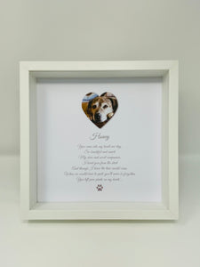 Pet Animal 'Paw Prints On My Heart' Photograph Frame