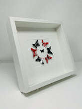 Load image into Gallery viewer, Jack Daniels &amp; Coke Upcycled Butterfly Frame
